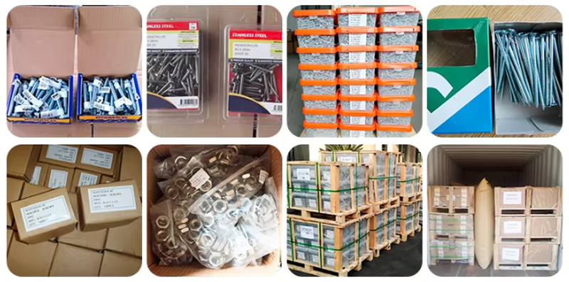 Stainless Steel Cross Pan Head Tapping Screw Stainless Steel Cross Pan Head Tapping Screw